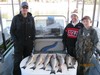 (11/08/2015) - Nice Striped Bass